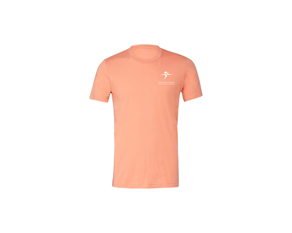 T-Shirt: BELLA + CANVAS UNSEX JERSEY T-SHIRT