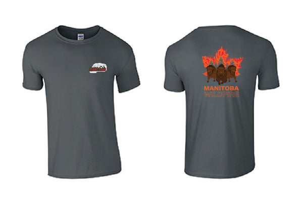 T-Shirt: GILDAN SOFTSTYLE T-SHIRT