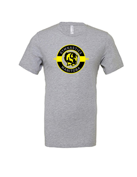 YOUTH Short Sleeve T-shirt: Bella & Canvas Jersey